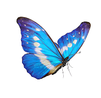 Ekonomické stavby - Silné příběhy klientů