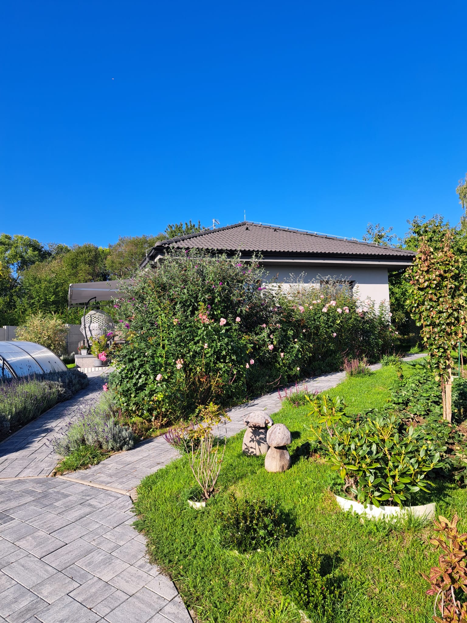 Ekonomické stavby - reference