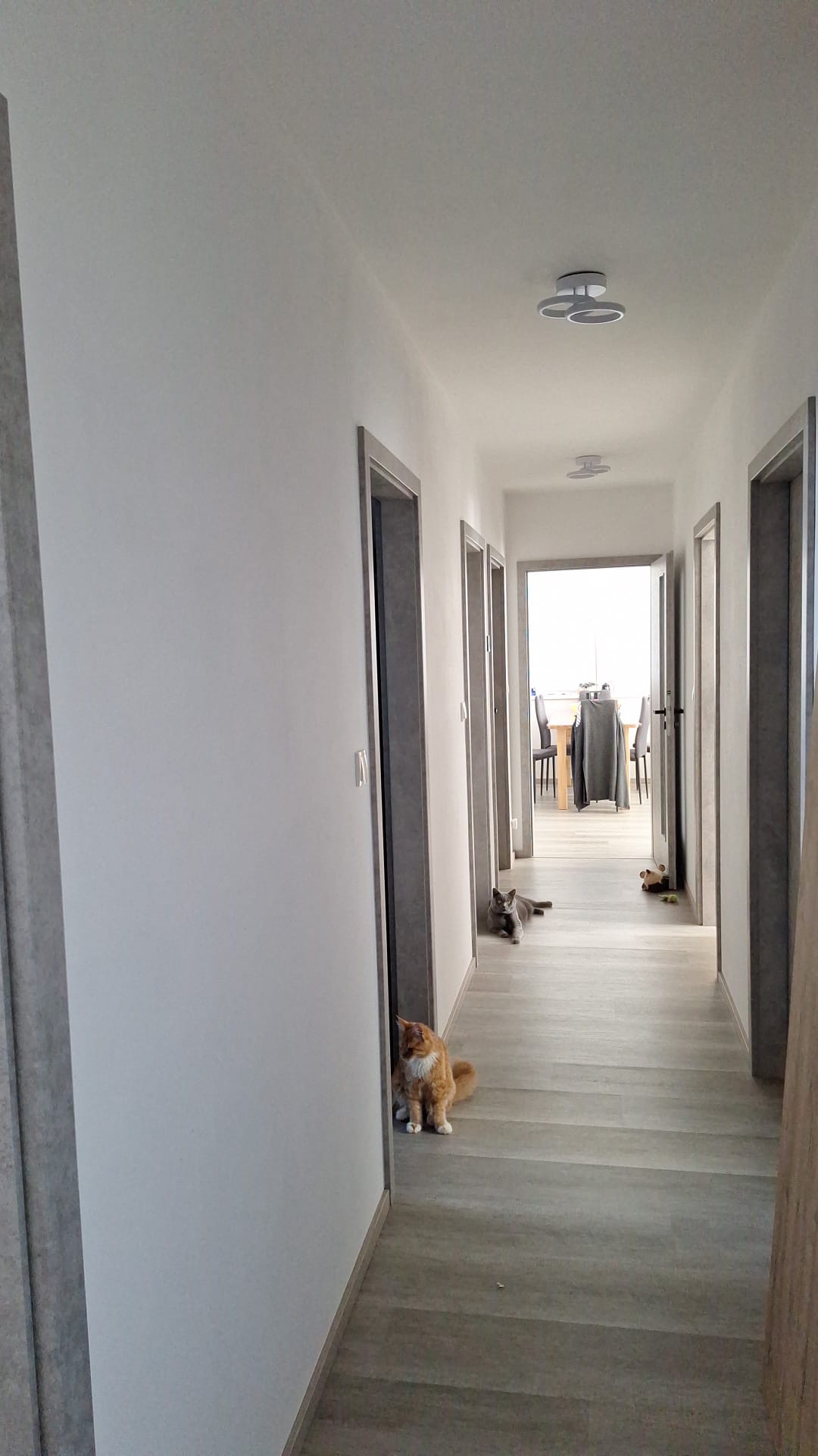 Ekonomické stavby - reference